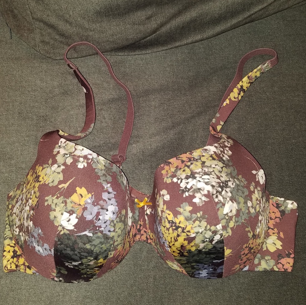 Cacique  Bra